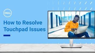 How to Fix Touchpad Issues on Windows 11 | Dell Support