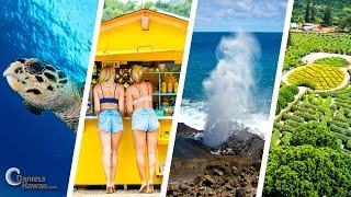 Oahu Circle Island Tour by Daniels Hawaii