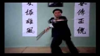 Wing Chun - Wong Shun Leung - Couteaux papillons (Baat Jam Dao)