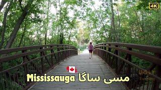 Applewood Trail in Mississauga, Ontario Canada | Urdu Vlog