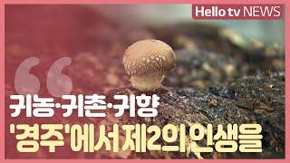 귀농·귀촌·귀향…'경주'에서 제2의 인생을