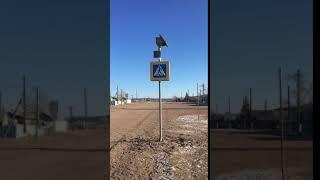 IMG 3481