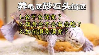 龟缸铺底沙石头问题解答！乌龟会误食吗？会有危险吗？如何避免？