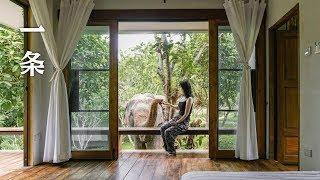 一家人類和大象共住的民宿 The Only B&B in the World where You Can Live with Elephants