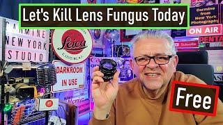 How to Kill Fungus with UV SUN LIGHT IN YOUR Camera Lens [7Artisans f0.95 50mm Bokeh] CLASS 314