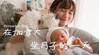 坐月子VLOG｜新手妈妈一天在干嘛？吃什么？小两口+月嫂YYDS｜Postpartum Vlog