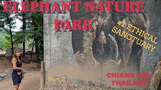 Elephant Nature Park: Part 2: elephants, cats and dogs!