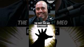 Joe Rogan's First Time on 5-MeO-DMT 