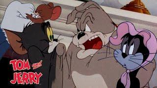 Tom & Jerry | Tom's Rivals | @GenerationWB