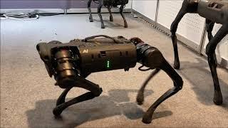 Four Leg Robot Now You Can Buy ,Unitree Robotics dog like Boston Dynamic  UNBELIEVABLE ,MUST WATCH