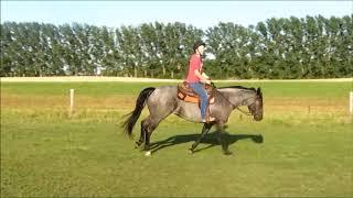 Beautiful night for a ride!