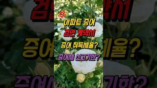 아파트 증여, 검인계약서, 증여 취득세율, 증여세 신고기한