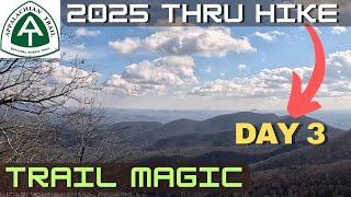 2025 Appalachian Trail Thru Hike Day 3 Gooch Mountain Shelter To Lance Creek #appalachiantrail