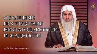 Страшные последствия неблагодарности и жадности | Шейх Мустафа аль-'Адави ᴴᴰ