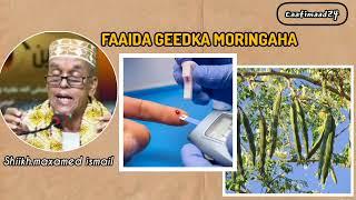 GEEDKA CAAFIMAAD EE GEEDKA MORINGAHA LAGA HELO ||SH.MAXAMED ISMAACIIL @xogocaafimaad