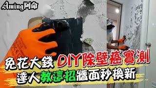 免花大錢"DIY除壁癌實測" 達人"教這招"牆面秒換新 | 天編推播@中天新聞CtiNews