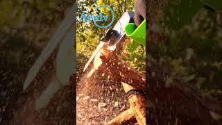 Cutting Edge Performance: The Aenlv Chainsaw in Action #automobile #chainsaw #handtool  #tools