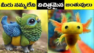 Amazing Facts in Telugu