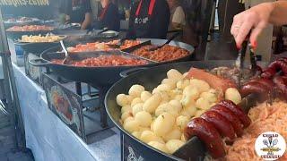 The BEST & LARGEST Street Food FAIR in VILNIUS (Lithuania), Days of the Capital - Largest FESTIVAL.