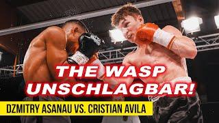 DZMITRY ASANAU VS. CRISTIAN AVILA | FIGHT HIGHLIGHTS