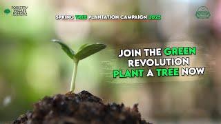 Spring Tree Plantation Campaign 2025 | Join the Green Revolution Plant a Tree Now!