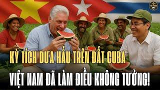 Kỳ Tích Dưa Hấu Trên Đất Cuba – Việt Nam Đã Làm Điều Không Tưởng! | Tri Thức 247