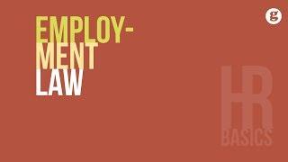 HR Basics: Employment Law 2e