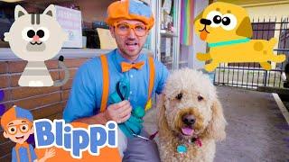 Blippi Cares For Pets At The Animal Shelter! | Fun and Educational Videos for Kids