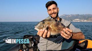 GREY TRIGGERFISH FROM THE BELLY BOAT | HOW TO CATCH | lots of fishing fun with @FISH iT