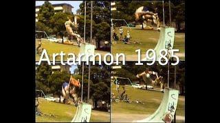 Artarmon Skating 1985