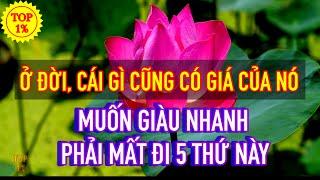 Ở Đời, Cái Gì Cũng Có Giá Của Nó | Muốn Giàu Nhanh Phải Chấp Nhận Mất Đi 5 Thứ Này