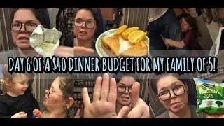 Extreme Grocery Budget | $40 for a family of 5 | Dinner Number 6 | Cheap and Easy Dinner Ideas!!