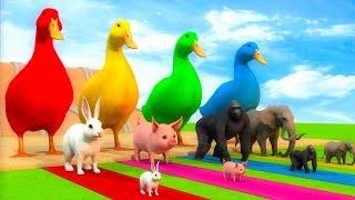 Duck cartoon vs gorilla vs rabbit vs pig vs elephant play the game get the right animal