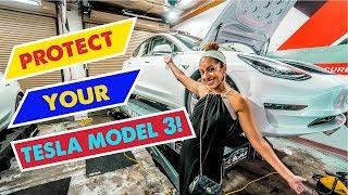 TESLA MODEL 3 PAINT PROTECTION! Is it worth the COST? | Sticker City Los Angeles