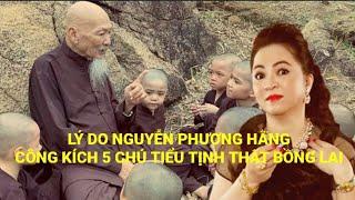 AI LÀ NGƯỜI TÁC ĐỘNG CHO NGUYỄN PHƯƠNG HẰNG CÔNG KÍCH 5 CHÚ TIỂU VÔ TỘI TRONG TỊNH THẤT BỒNG LAI