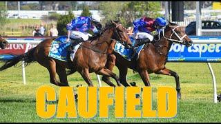 【CAUFIELD】AUSTRALIA HORSE RACE ANALYSIS