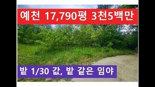 예천 17,790평 3천5백만 (밭 1/30 값, 밭 같은 임야)