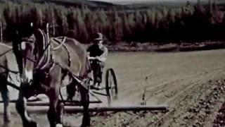 Alaska  A Modern Frontier   1948 Color Documentary