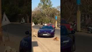 Gorgeous  Storm Purple Aston Martin DB12 in India !