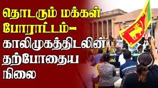 தொடரும் மக்கள் போராட்டம்  காலிமுகத்திடலின் தற்போதைய நிலை | #galleface #colombonews