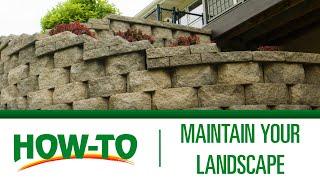 How To Maintain your Landscaping | Menards