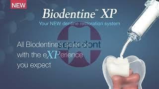 Biodentine XP