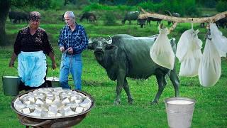 CHEESE Making Process From Buffalo Milk in the Mountain Village! DOCUMENTARY