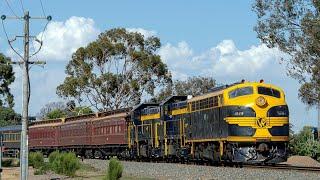 Blue & Gold EMD's in the Goulburn Valley! (SRHC's Tenex Rail Charter to Tocumwal) | B74, P23, T382