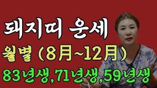 돼지띠 24년 하반기 8월부터 12월까지 월별운세 보고 때를 찾아야 한다는데 #돼지띠운세 #돼지띠