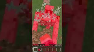 The betrayal is wild #newyoutuber #minecraft #manhuntchallenge #minecraftbedrock #minecraftmemes