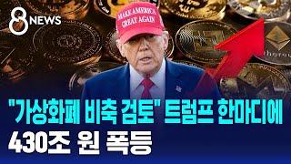 "가상화폐 비축 검토" 트럼프 한마디에…430조 원 폭등 / SBS 8뉴스