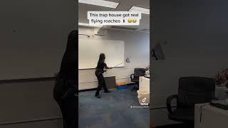 How to get rid of Big Flying Roach? 🪳