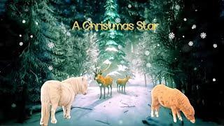 Amazing Christmas Song! A Christmas Star ⭐️