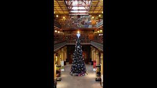 Christmas tree at the State Library 2024 #Shorts